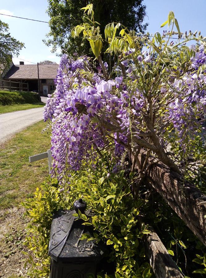 Le Beauregard Bed & Breakfast Rânes Eksteriør bilde